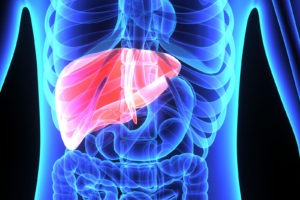 Low Liver Transplant in India